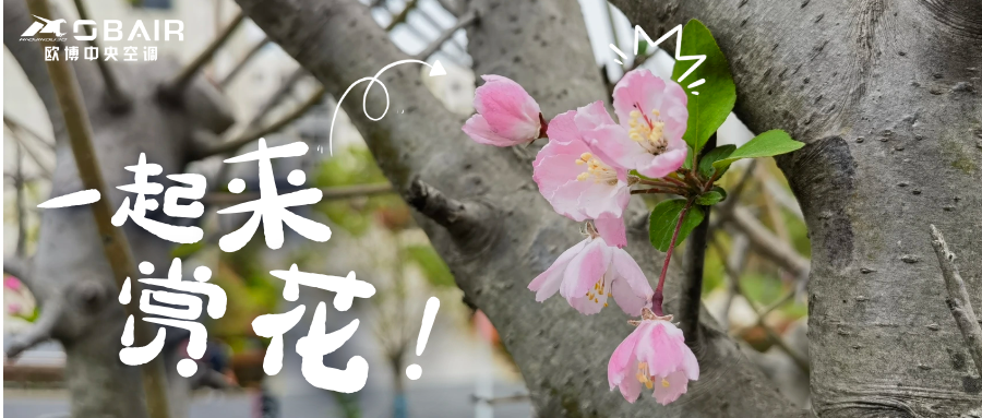 花香滿歐博|讓工作回歸自然，構(gòu)建生態(tài)新場(chǎng)景！