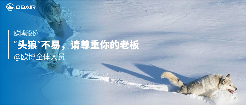 “頭狼”不易，請尊重你的老板