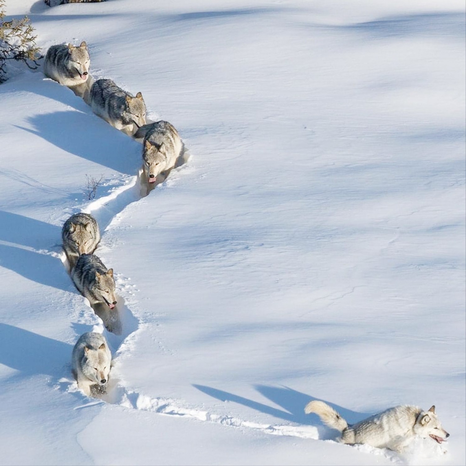 1724826107832779.jpg 微信圖片_20240823091448