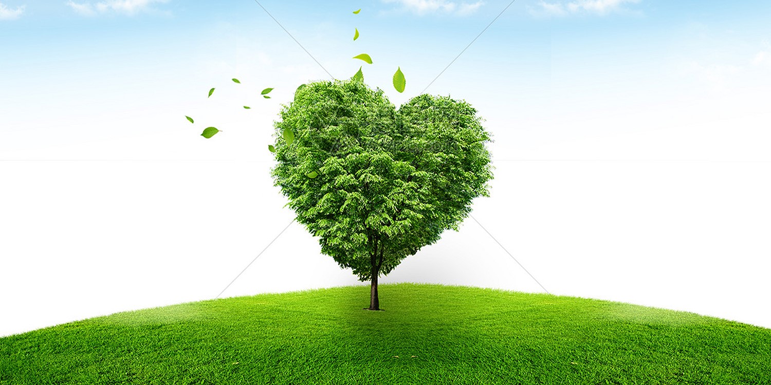 1727568148557579.jpg 4213_wh1200